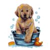 Κέντημα Παιδικό το Σκυλάκι που Κάνει Μπάνιο