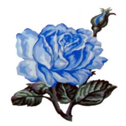 Κέντημα Σταμπωτό Μπλε Τριαντάφυλλο