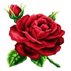 Κέντημα Σταμπωτό με το Τριαντάφυλλο Κομπλέ Κιτ