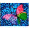 Πίνακας με Ψηφίδες Diamond Dotz Complete Κιτ Flutter by Pink