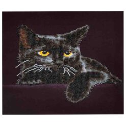 Πίνακας με Ψηφίδες Diamond Dotz Complete Κιτ Midnight Cat