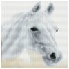 Πίνακας με Ψηφίδες Diamond Dotz Άλογο Αραβίας