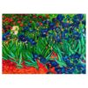 Πίνακας με Ψηφίδες Diamond Dotz Ίριδες (Van Gogh)